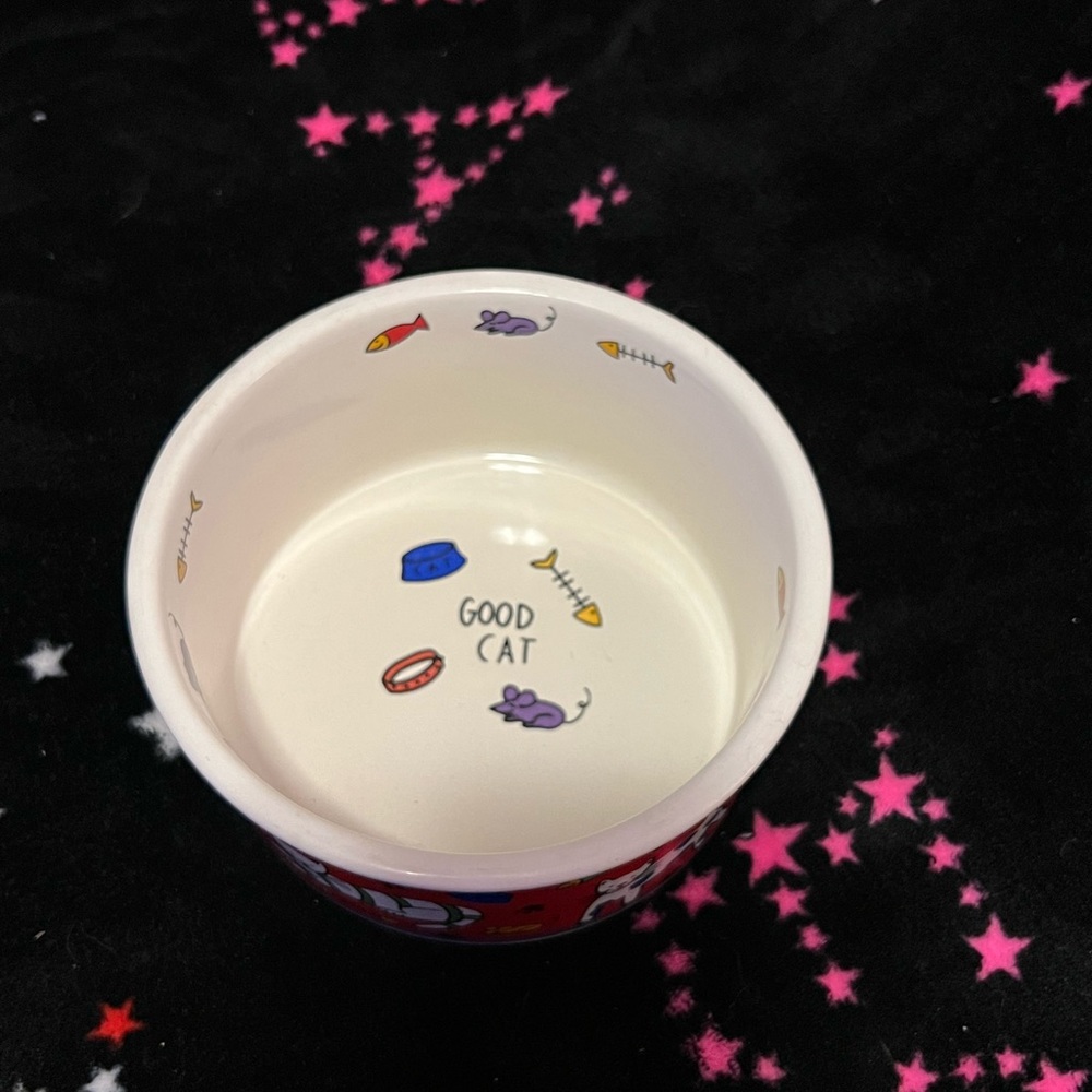 Cat Water Dish